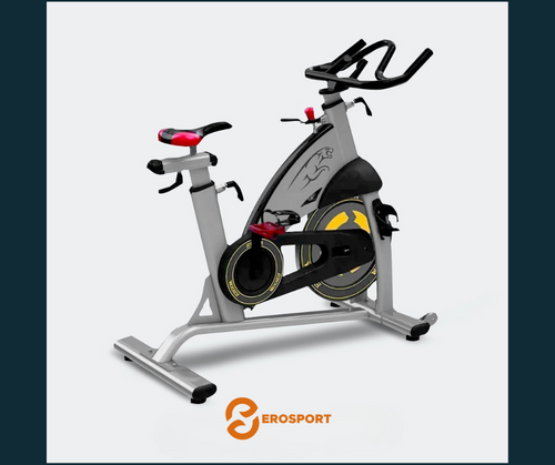 BICICLETA RYO