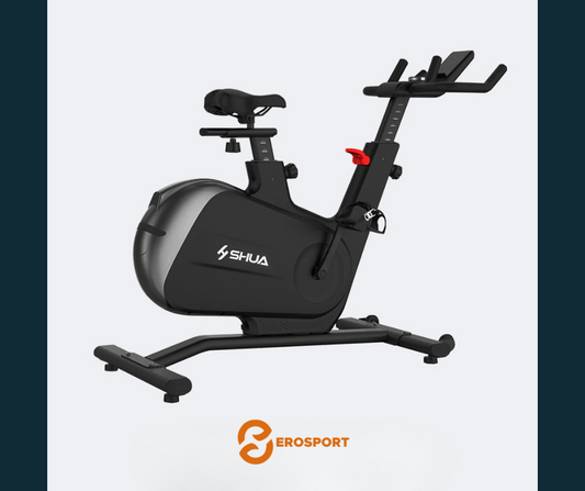 BICICLETA SHUA