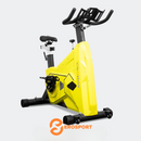 Spinning Sportback